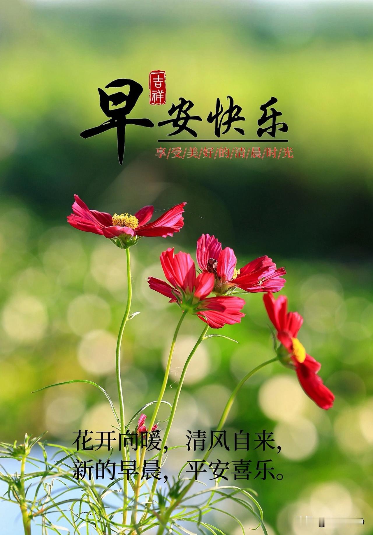 🌼²⁰²⁶/₀₈.₀₂ᵕ̈周日｜清闲自在☀️🍃八月清晨，清风徐徐，褪去