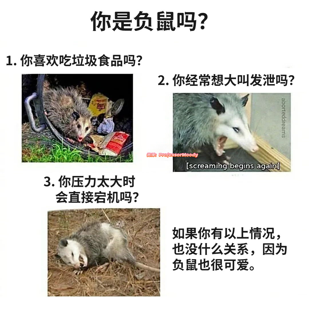 你是吗meme​​​