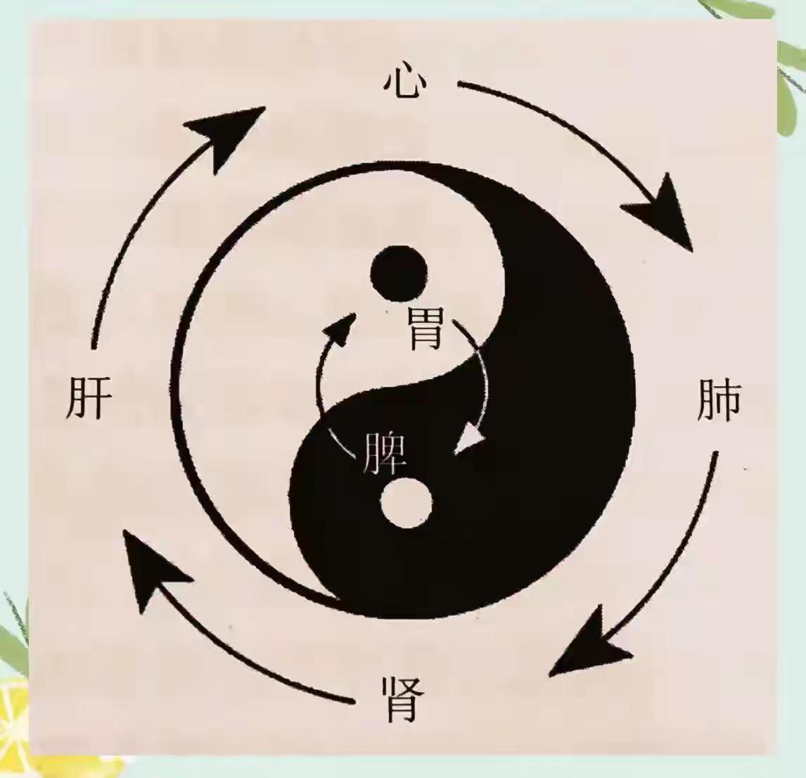 通气最快的王牌方：木香顺气散！打通三焦郁堵，理顺全身气机作品声明：个人观点、仅