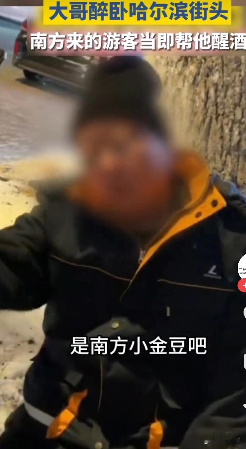 “怪不得东北人疼你们这帮南方小土豆，嘎嘎优秀啊”，近日俩东北大哥被来哈尔滨旅游的