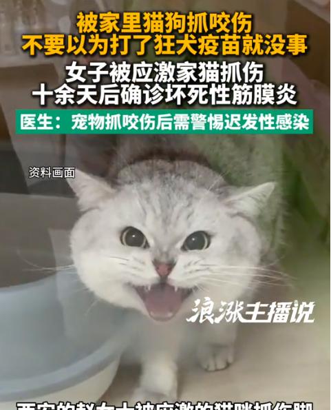 8月7日报道陕西西安，一女子被家猫抓出血，全程规范打完疫苗、伤口快速结痂后本以为