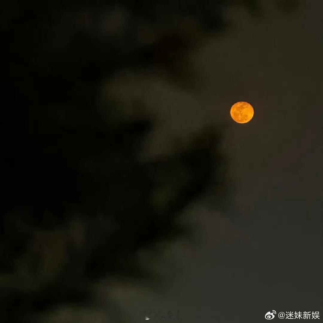 肖战五一明信片肖战镜头下的青岛是肖战的五一明信片，深夜发文
