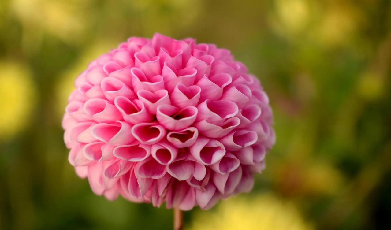 曾仕强教授点破婚姻真相：男人背叛，从来不是一时冲动，而是骨子里早就写好的结局。