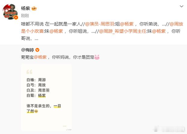 杨紫回复梅婷：啥都不用说在一起就是一家人。就听我们团宠菊菊宝的今晚记得来看《生