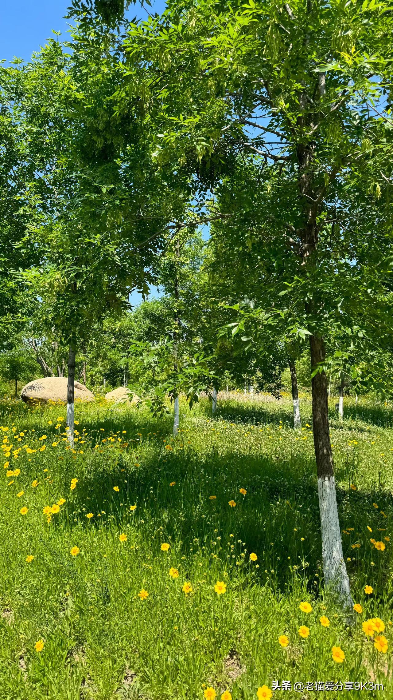 千万别随便帮人看孩子事情是这样的：广东中山，3岁的小周跟着妈妈去亲戚胡某家里