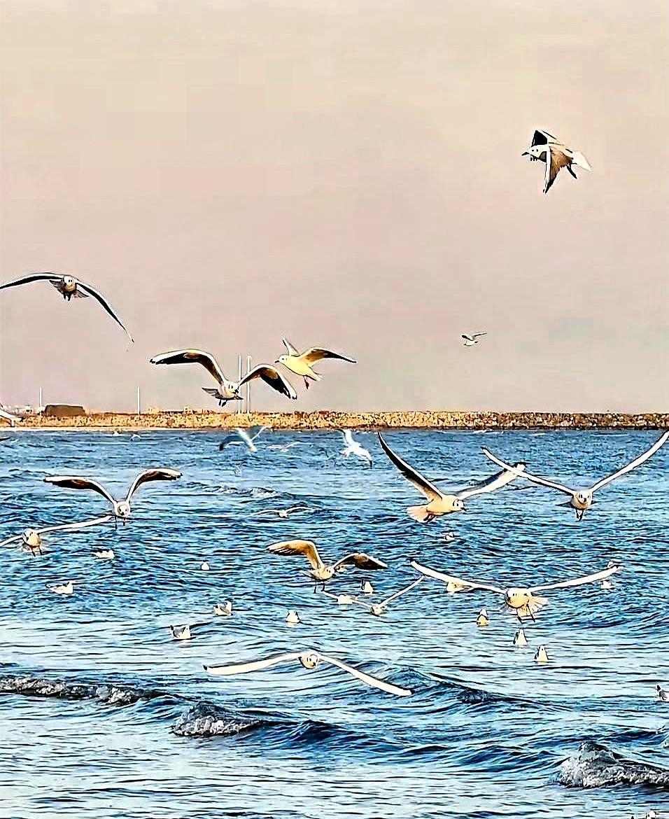 “退休不环游世界,就是浪费生命?”58岁的前公务员老周被老同学这么一怼,直接退群