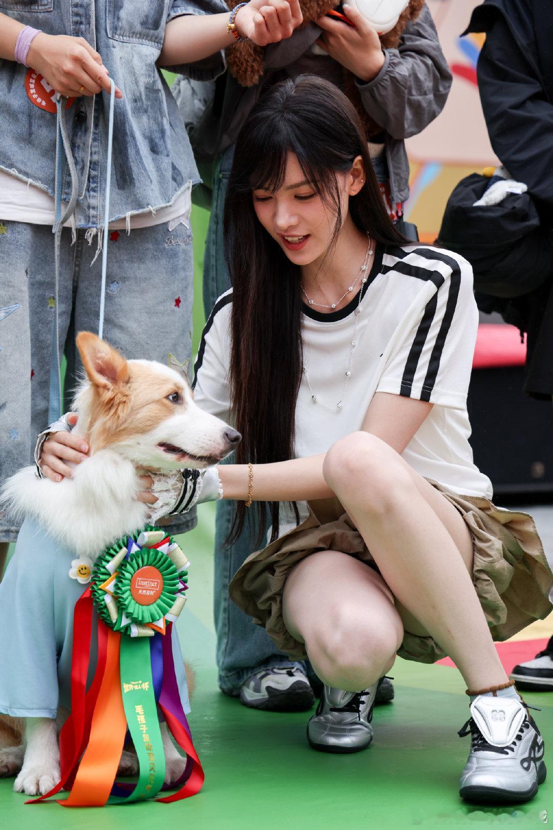 张艺上与毛孩子温柔同框昨天的她完全是“毛孩子收容所”，有累到不想走路的小狗，直