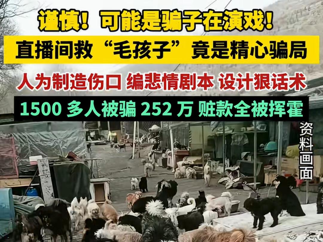 1500多人被骗252万，钱款全部被挥霍一空。谨防“爱心”直播间的精心骗局，别让