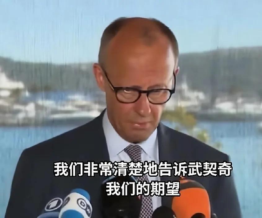 吊着塞尔维亚十几年，只因武契奇一个访华动作，直接让欧盟急了，德总理墨茨竟当面让武