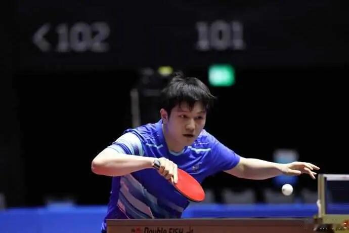 樊振东晋级全运会八强，赛后“吐槽”尽显大将风范在体育赛场上，胜利总是伴随着欢呼