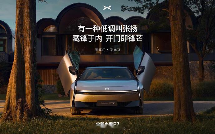 小鹏新P7当时拍摄的时候我就想一定要出鹏翼门怎么样，好看不[大笑]1-10分，你
