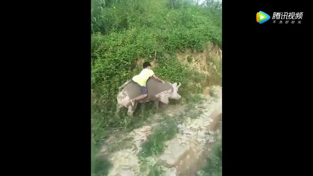 飞轮漂移少年4[77dsw.com]_土豆视频