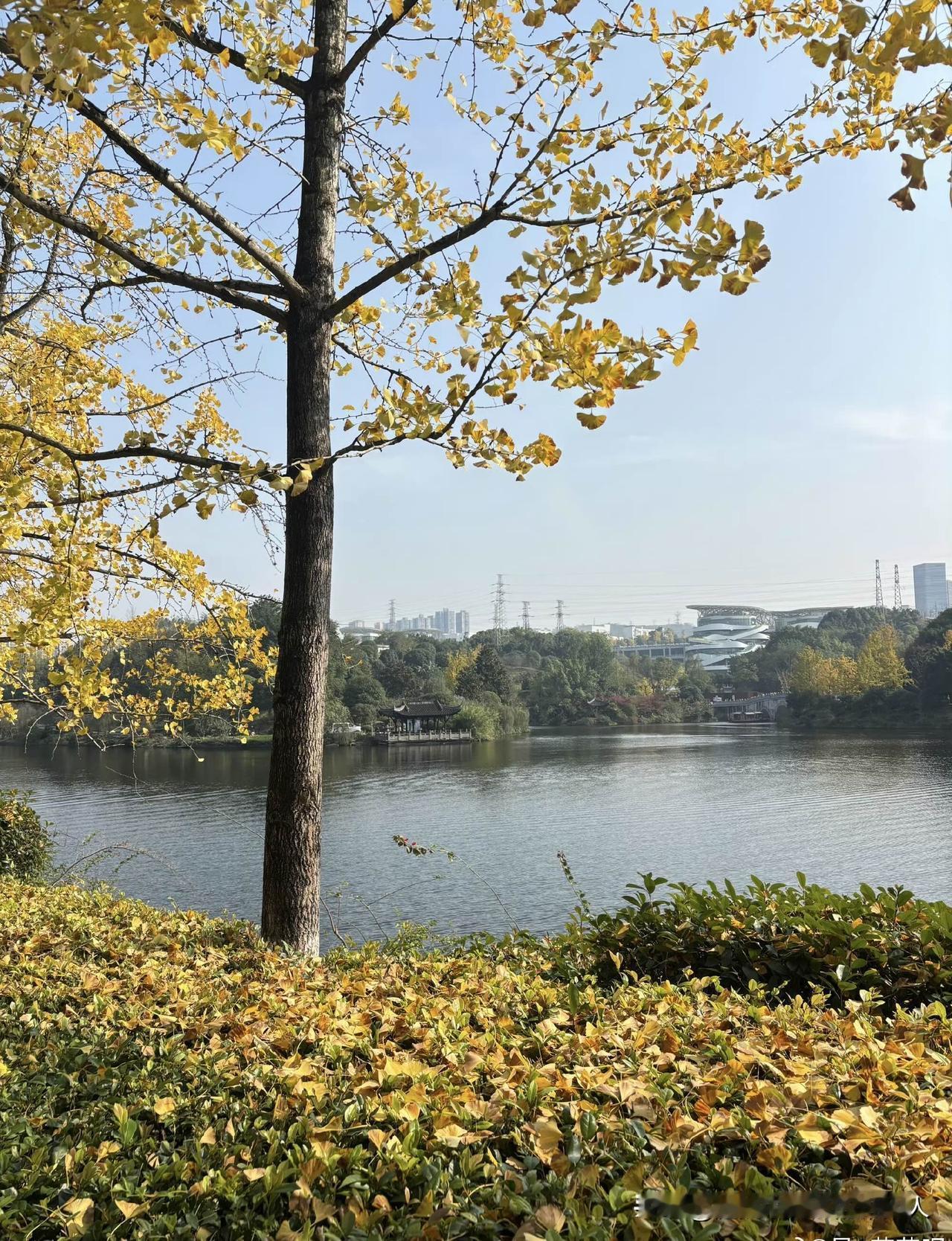 企业女职工的退休金真的是特别低，有的才1千多元。能拿2千多的都不多见。至于3千以