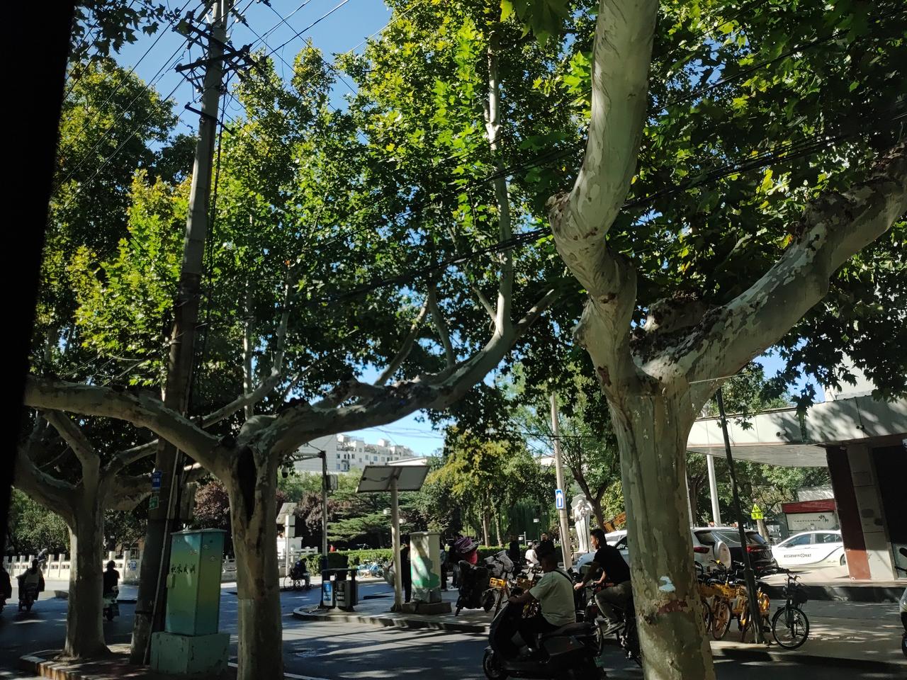 分享拍照所得的风景只要心中有爱，处处皆为风景，随手拍[啤酒]