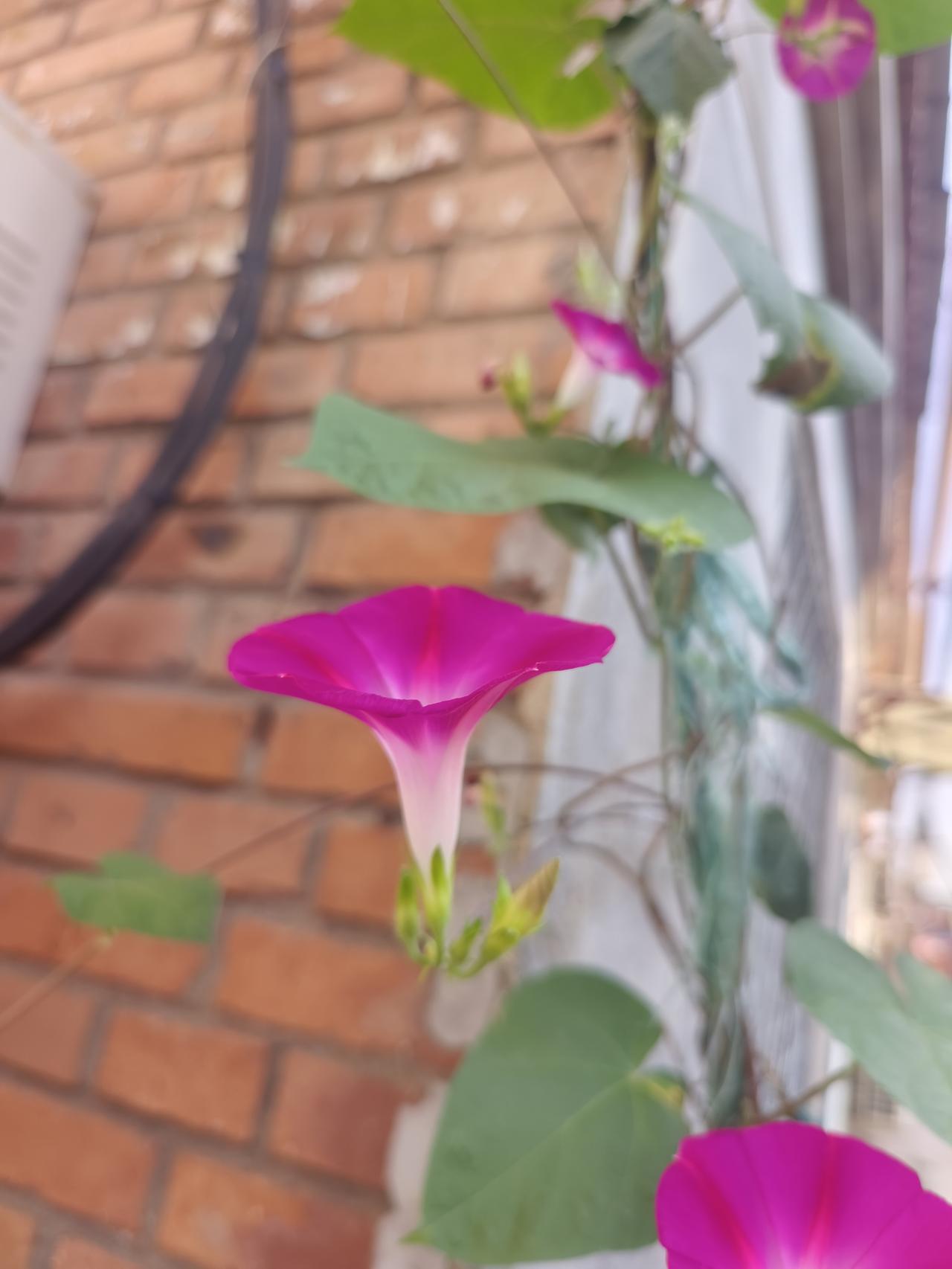 忘掉一个人其实挺难的，特别是入了心动了情的人。有时候不是放不下这个人，而是习