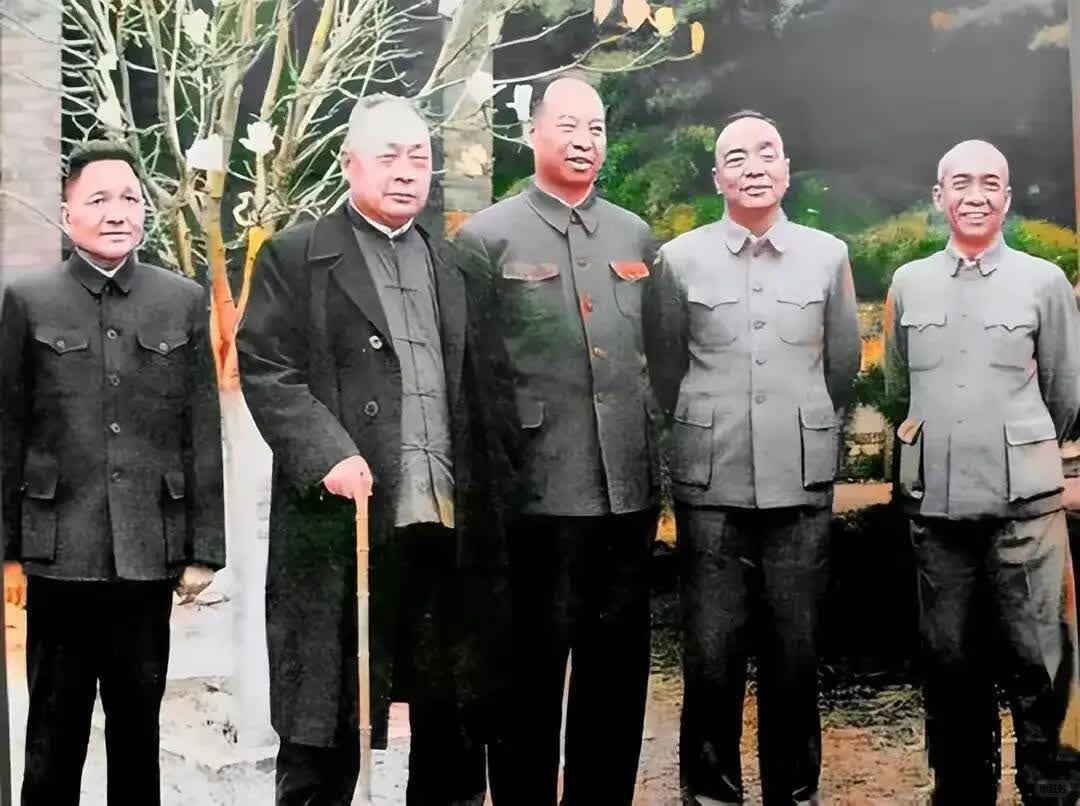 1963年，五位国家领导人的合影，邓公站旁边，陈毅还拄着拐仗，站C位的是谁？五