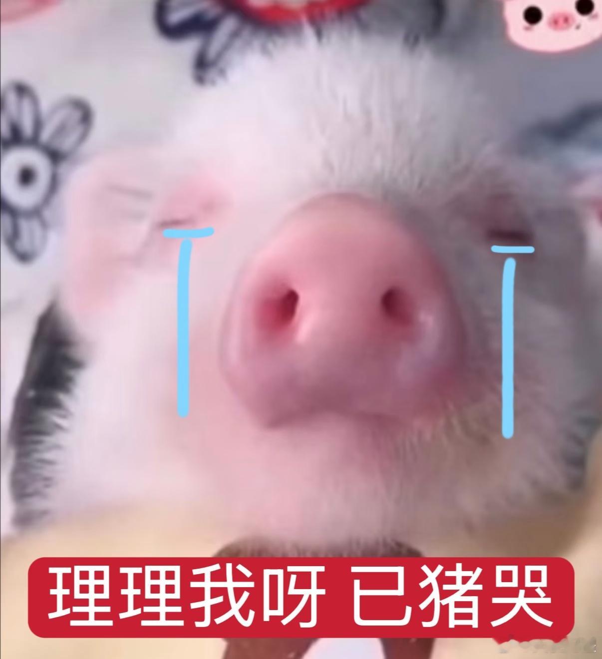 尼们别100w➕呗，我好羡慕啊
