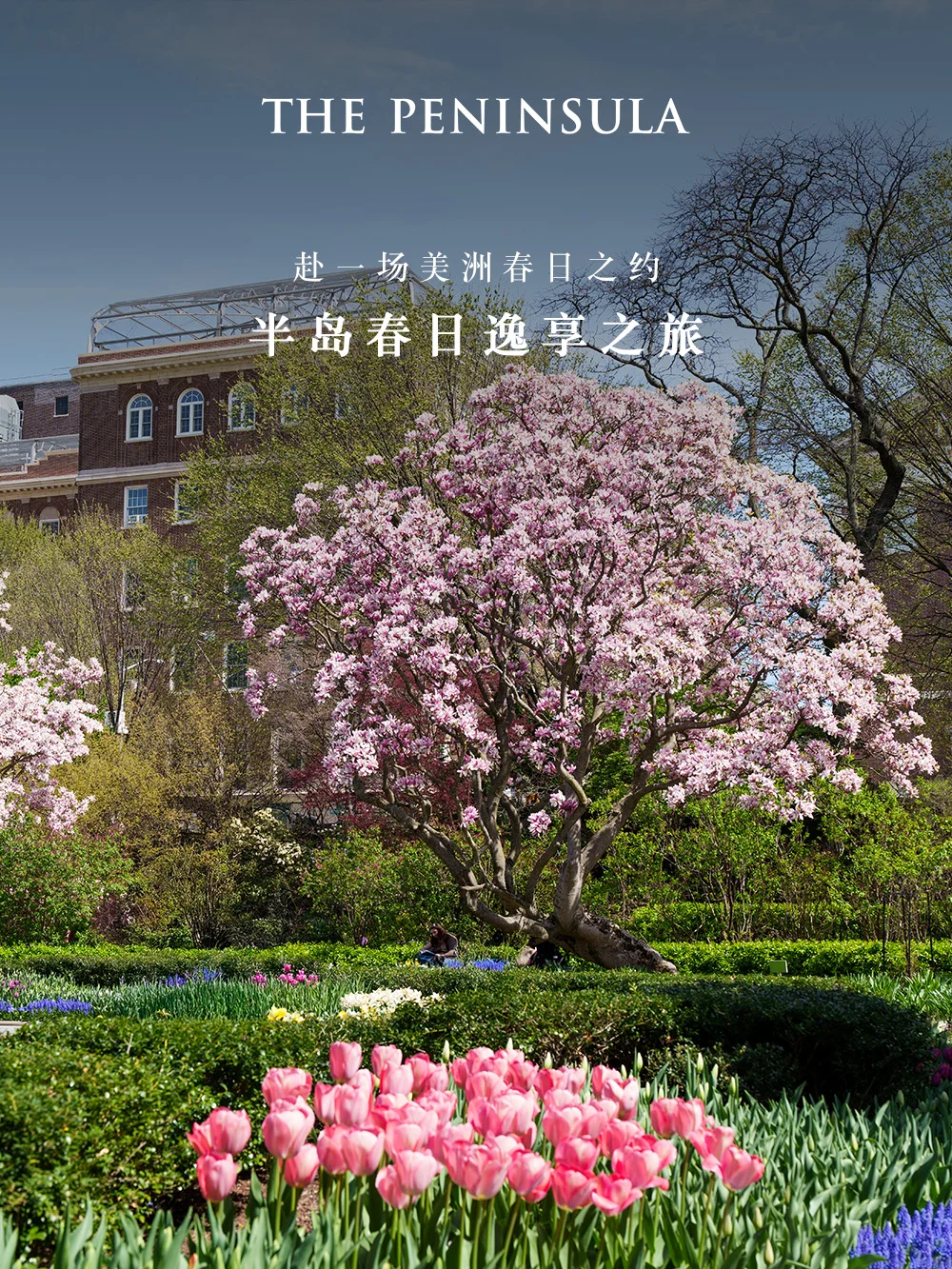 春日地图 | 大都会中的春和景明🌿