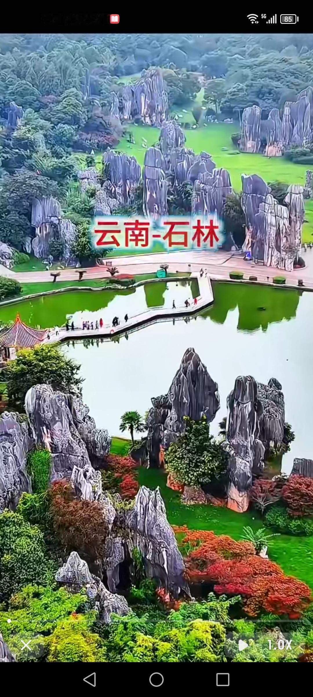 云南石林，那简直是大自然鬼斧神工的杰作。我去的时候，一进入景区就被眼前的景象震撼