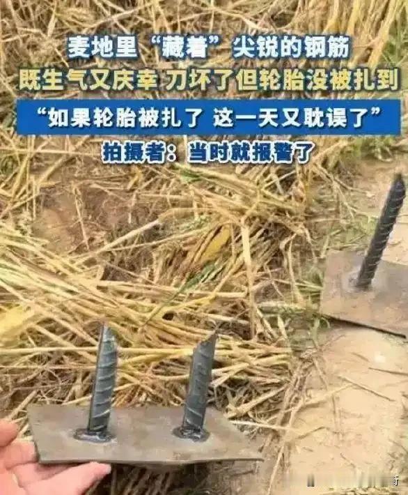 河北临漳麦地里藏暗器，收割机遭殃，这不仅是缺德举动，更是违法行为。6月5日，