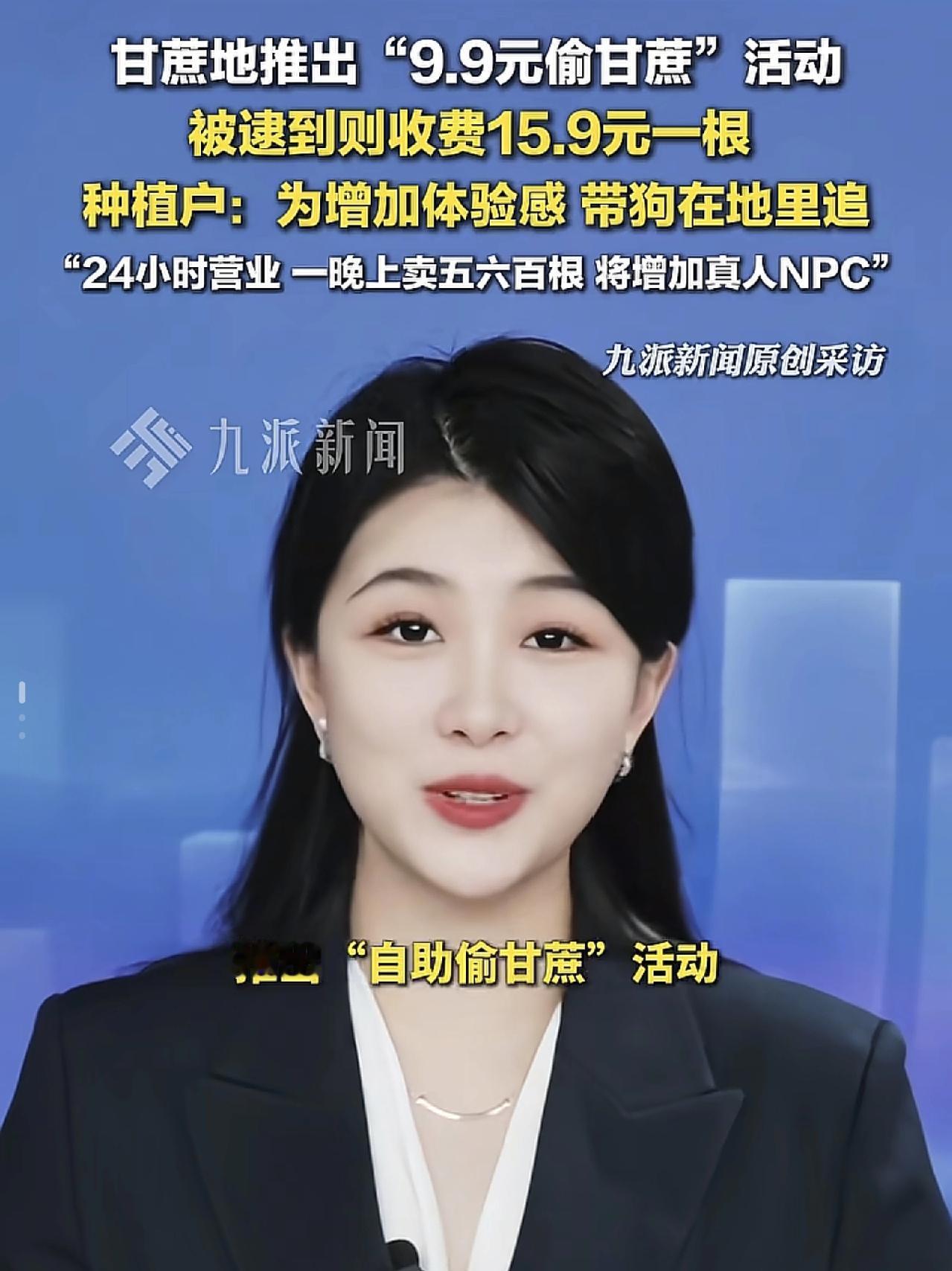 9块9体验“偷菜”！四川眉山种植户玩出新花样11月21日，四川眉山一位种植户