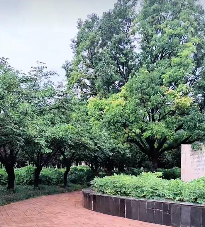 凡是对方反对的，我们就支持！柴桑大姐说：他们怎么不说那个户，缴费单，出生医学