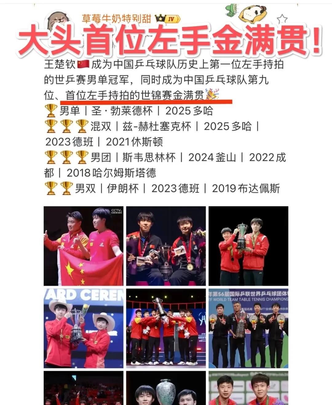 莎莎&大头的这三张战绩图的含金量谁懂呀？王楚钦拿下男单冠军后，成为中国乒乓球队