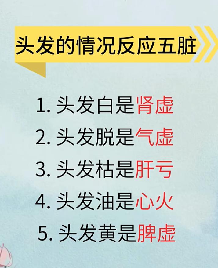 头发状态反映五脏健康，白发、脱发、干枯分别对应哪些问题