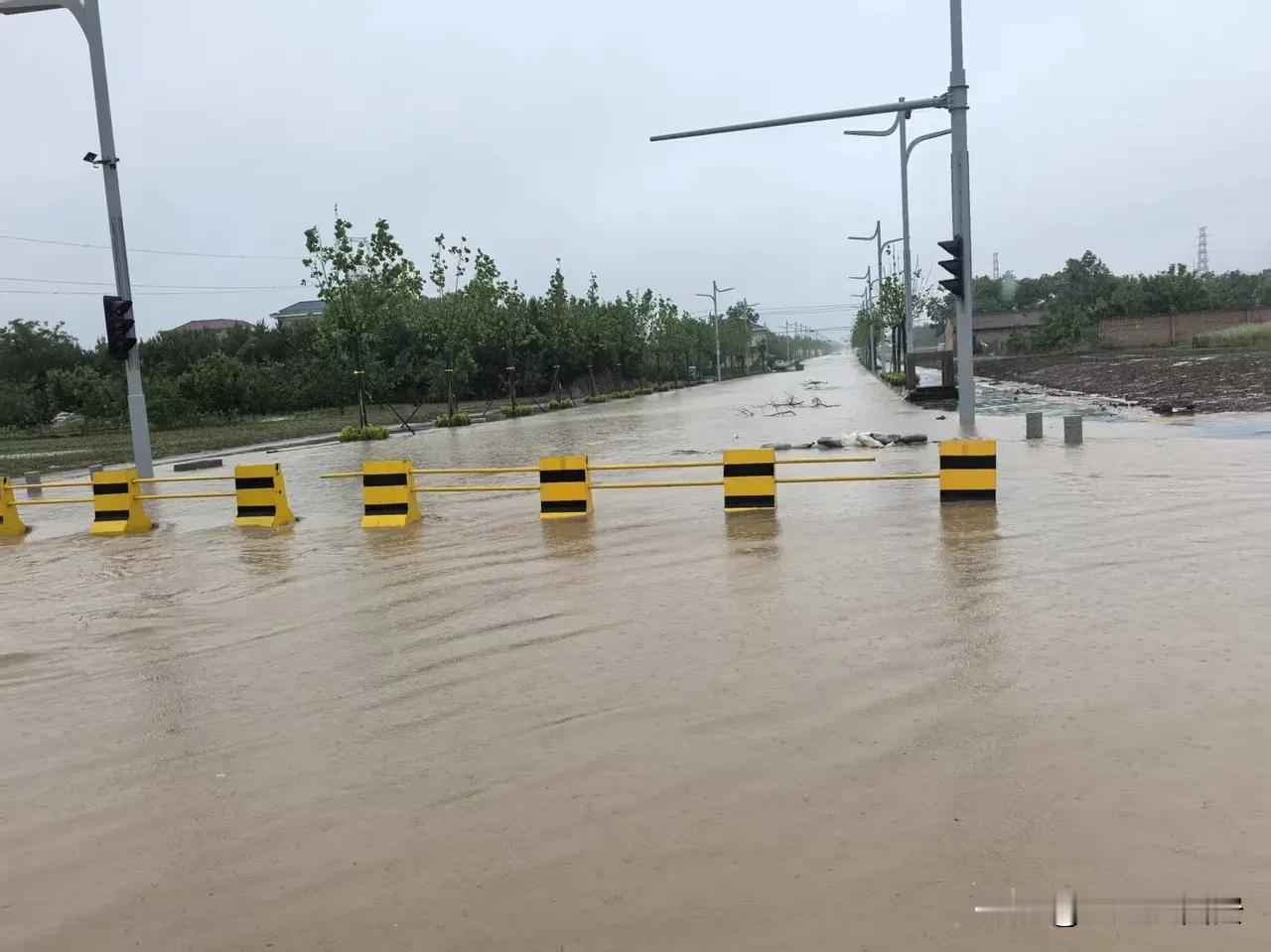 索赔函 致：中铁局庆阳东数西算工业园区横四路工程项目部——本人系甘肃省庆