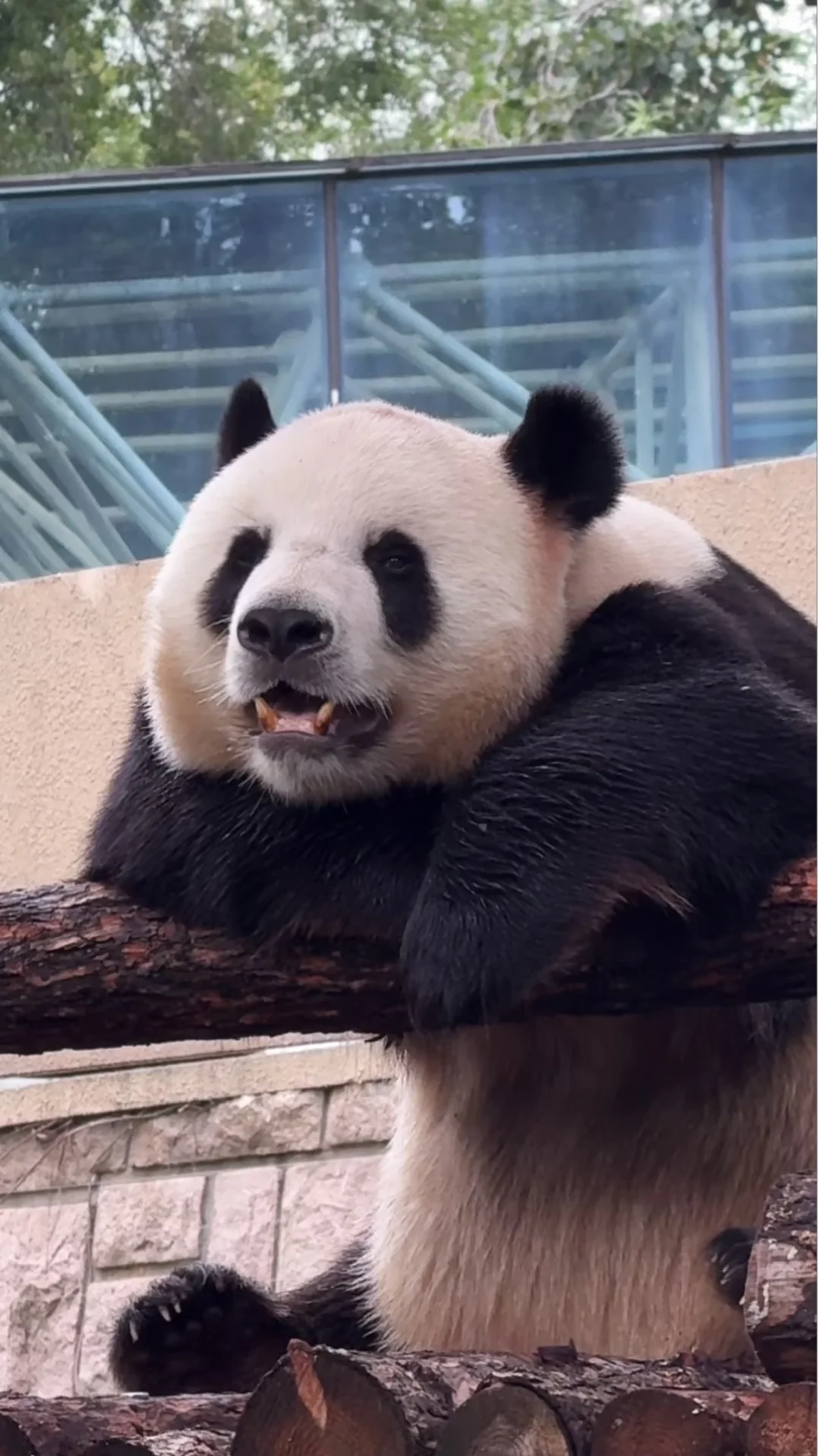 帅迷糊了这一早上