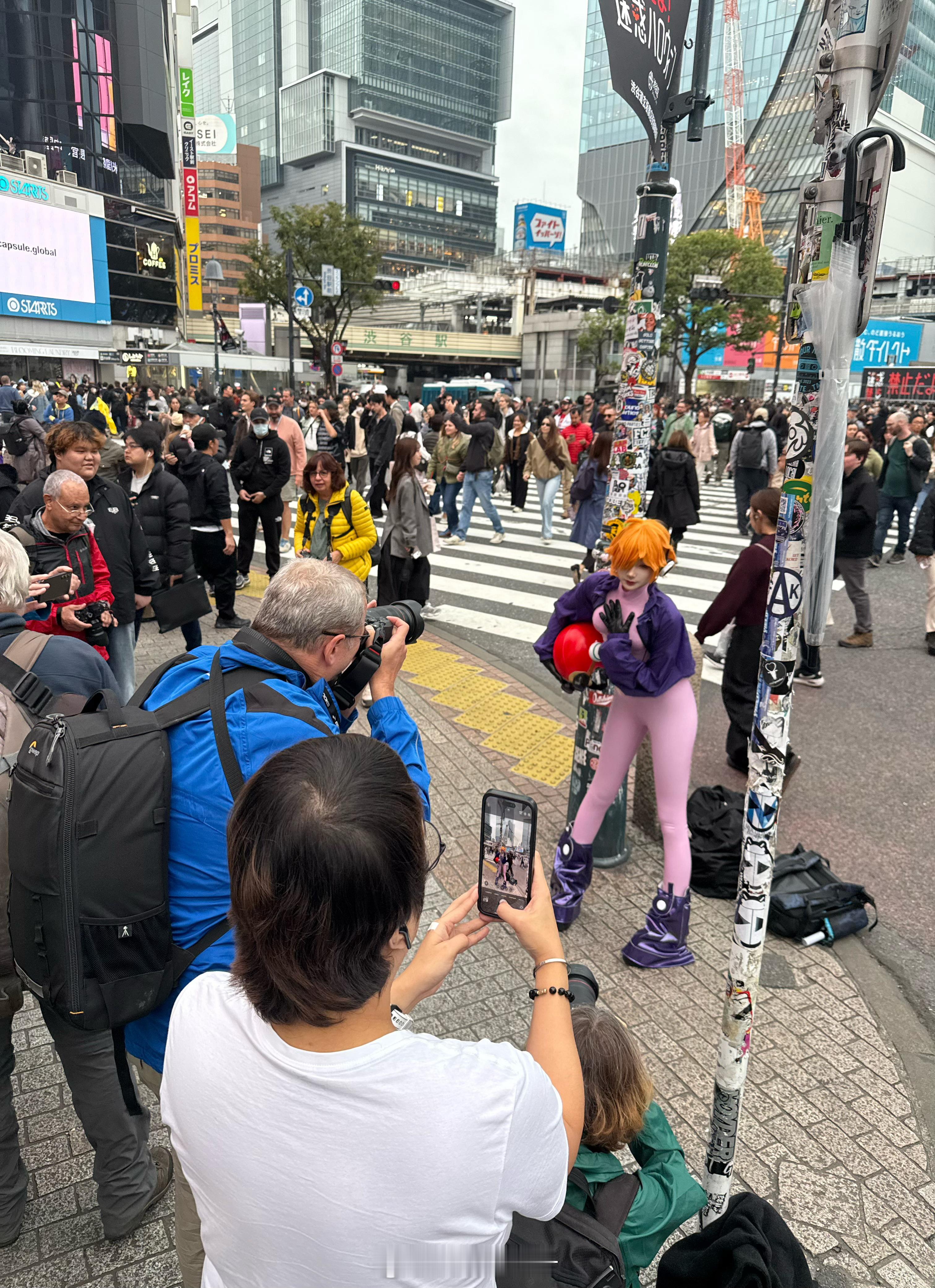 海贼王又要等三个月啦海贼王海贼王蛋头岛篇定档