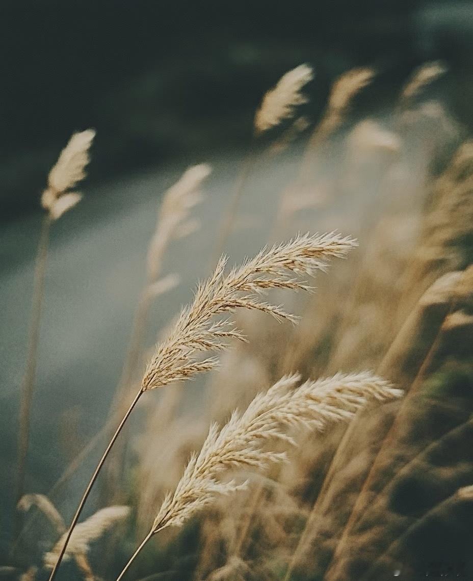 总以为孩子读完大学，父母就该松口气了，其实完全不是我们想的那样。现在很多孩子一毕