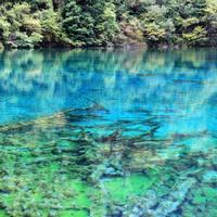 九寨沟民宿“逆天操作”火了！男子怒怼老板“免单”，结果老板一句话笑翻全网！大