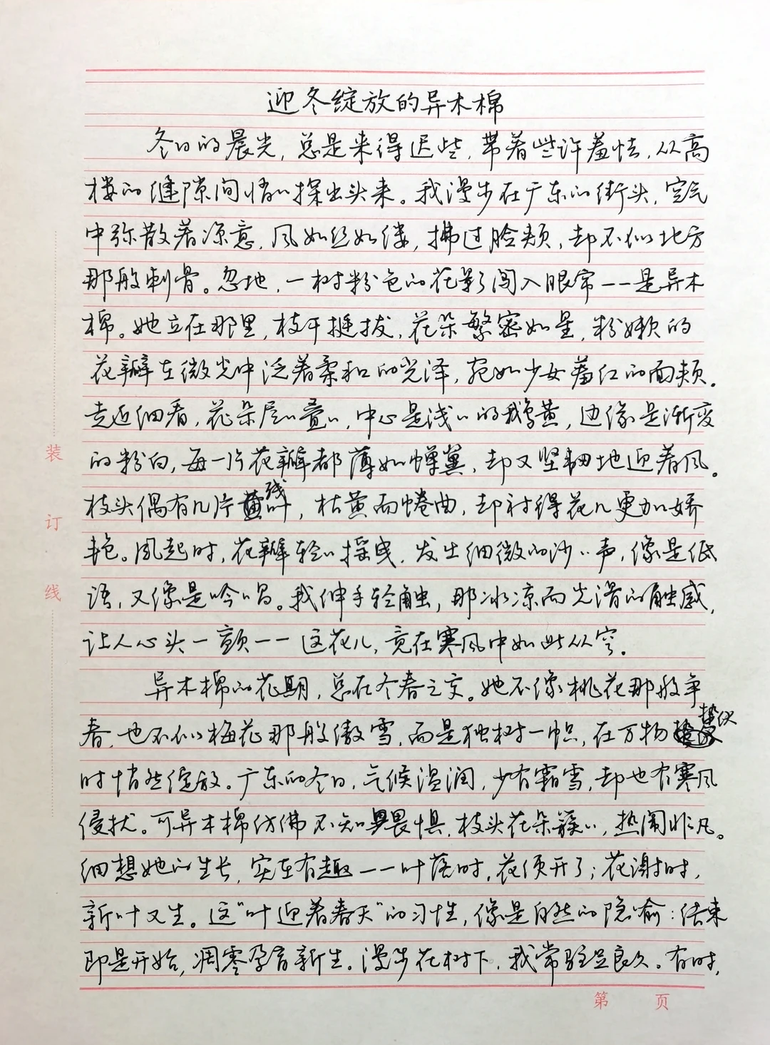 硬笔行书手抄散文《迎冬绽放的异木棉》