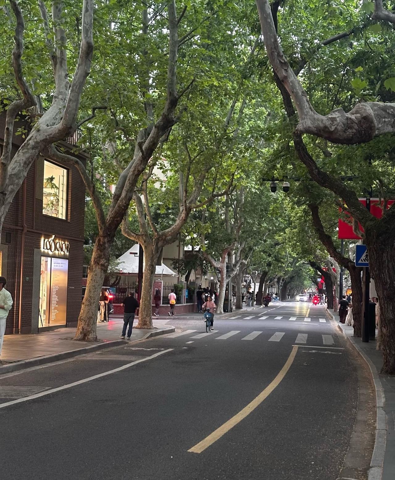 为什么感觉上海外卖员很少深圳去上海玩了几天，感觉路上外卖员很少，部分路段电动