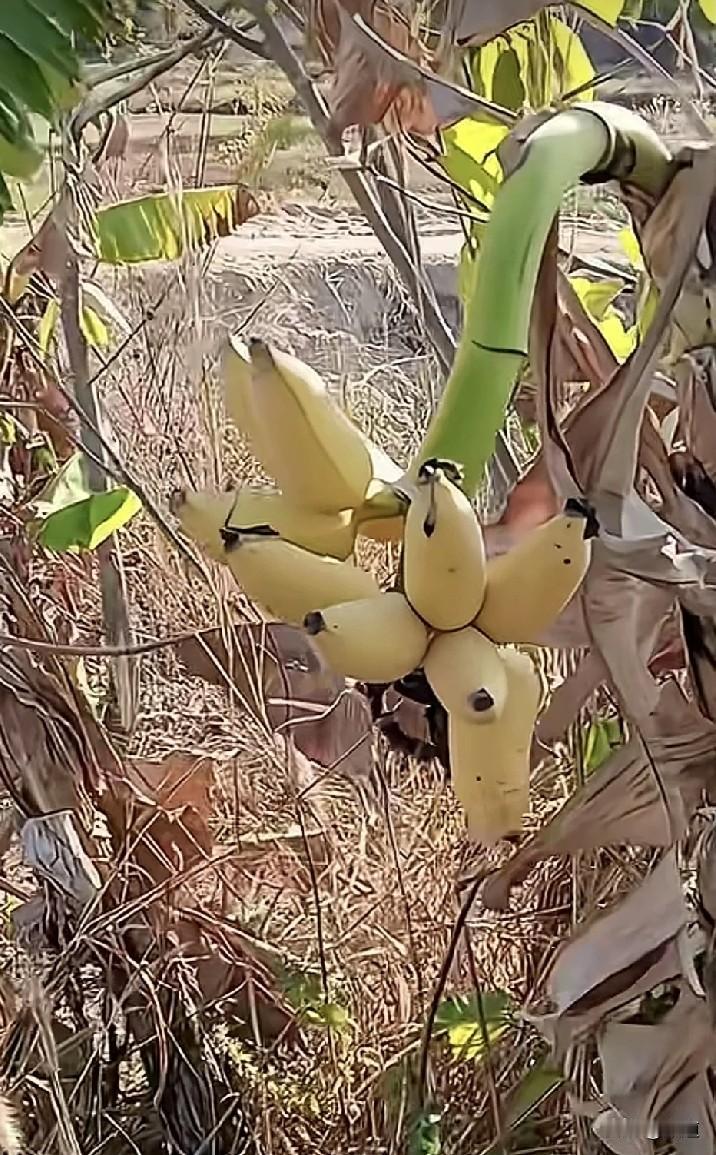 刚才一位客人问我WIFI密码多少，我说3.1415926。他很惊讶，这么精确！还