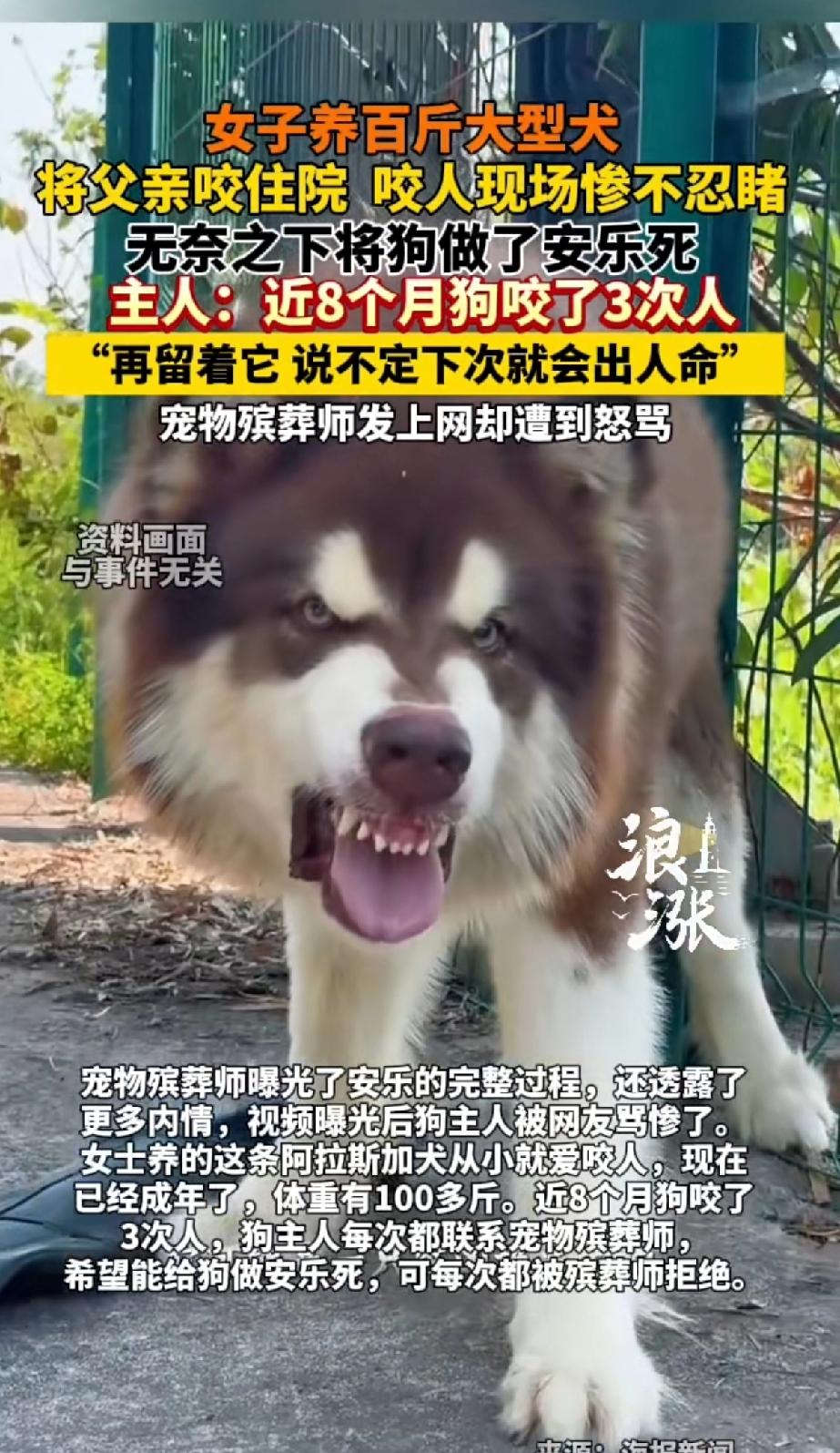 女子养百斤大型犬，将父亲咬住院，咬人现场惨不忍睹，无奈之下将狗做了安乐死。主人