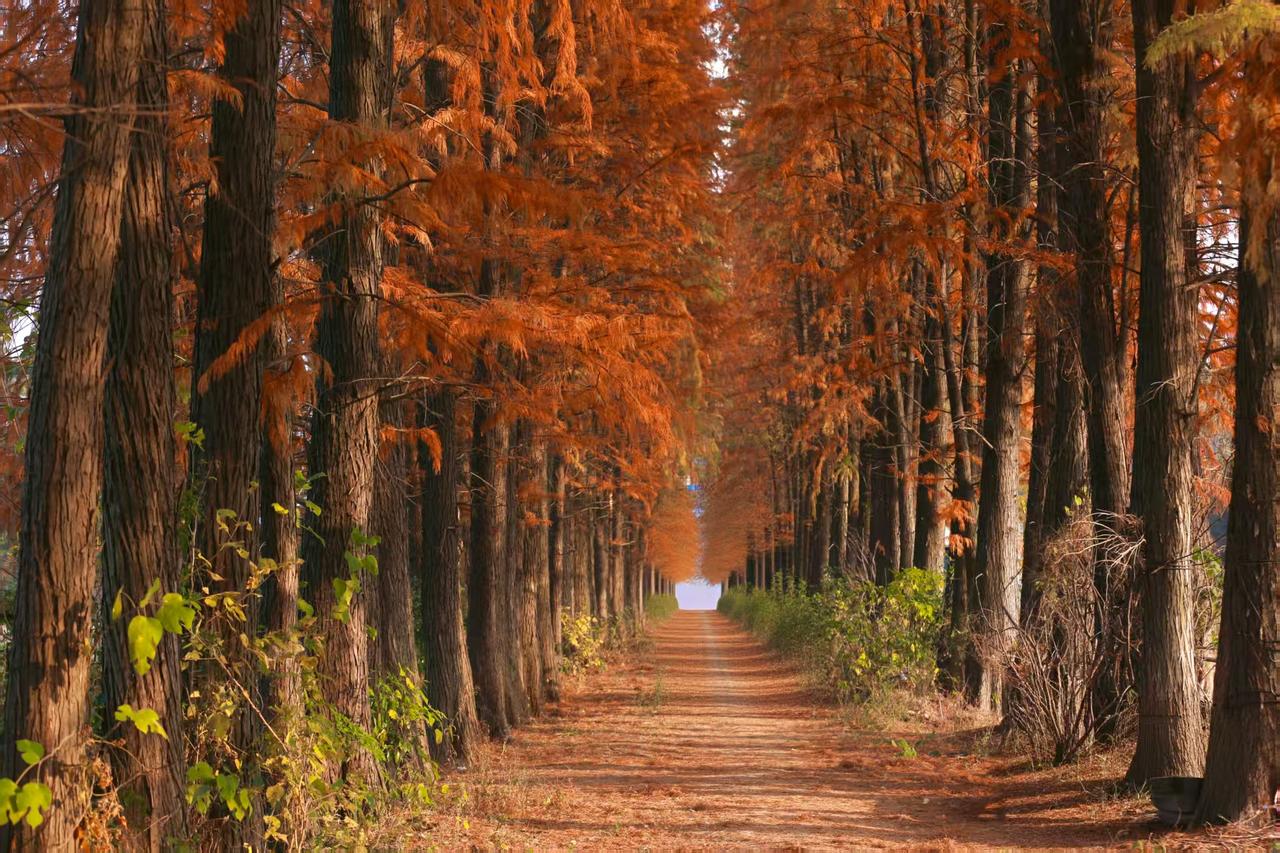 “你的渡口”去世了，真的让人心疼。那么年轻，那么漂亮。还有很多很多的事业等着