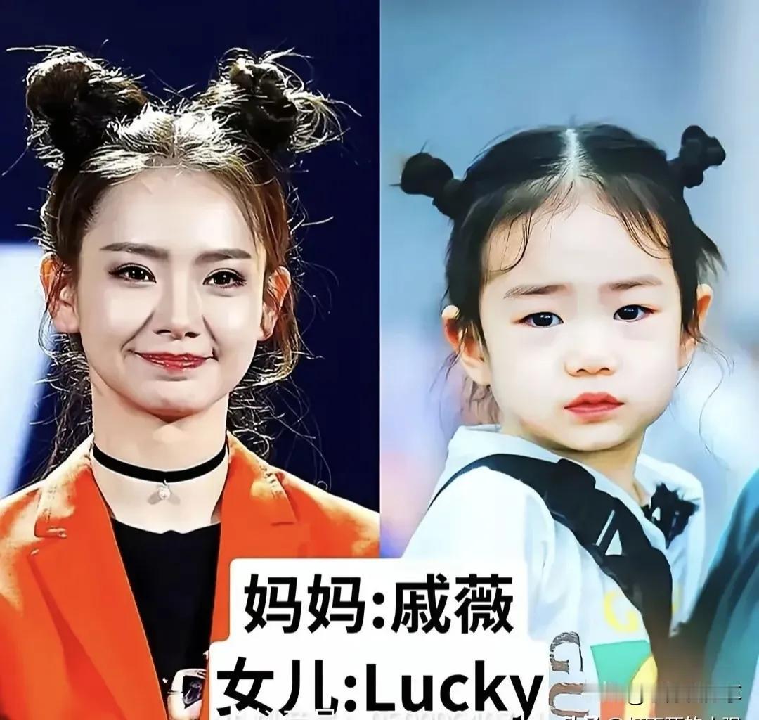 翻看妈妈的颜值！哪一对母女长相最像？都说女儿大多随妈妈，看完这几组明星母女