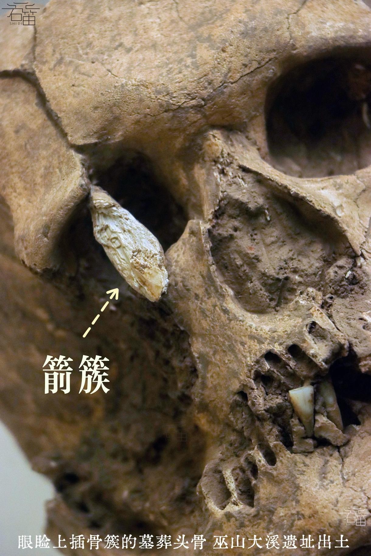 5000年前一箭穿眼！湖北大溪文化遗址出土的一具男性遗骸，左侧眼眶处，牢牢嵌着一