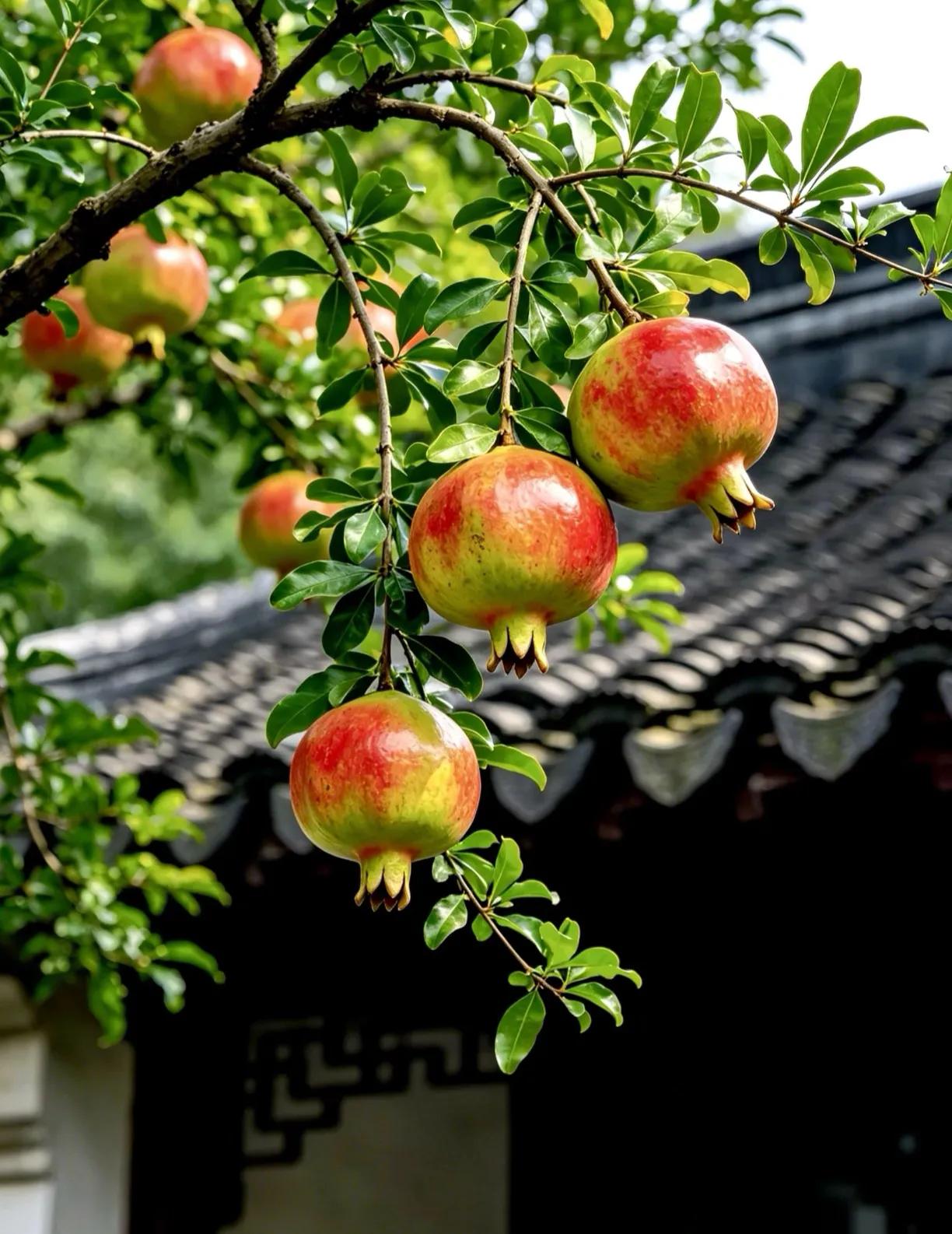 我给爸妈找了个贴身小棉袄——我的大姑姐。闺女下个月就要生孩子，让我这个月底必须