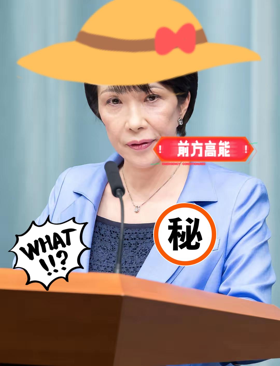 三观被震碎！日本首相APEC踩红线了！11月1日的APEC峰会上，日本首相