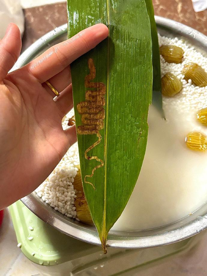 吓人​​​，包粽子的手都发抖了​​​