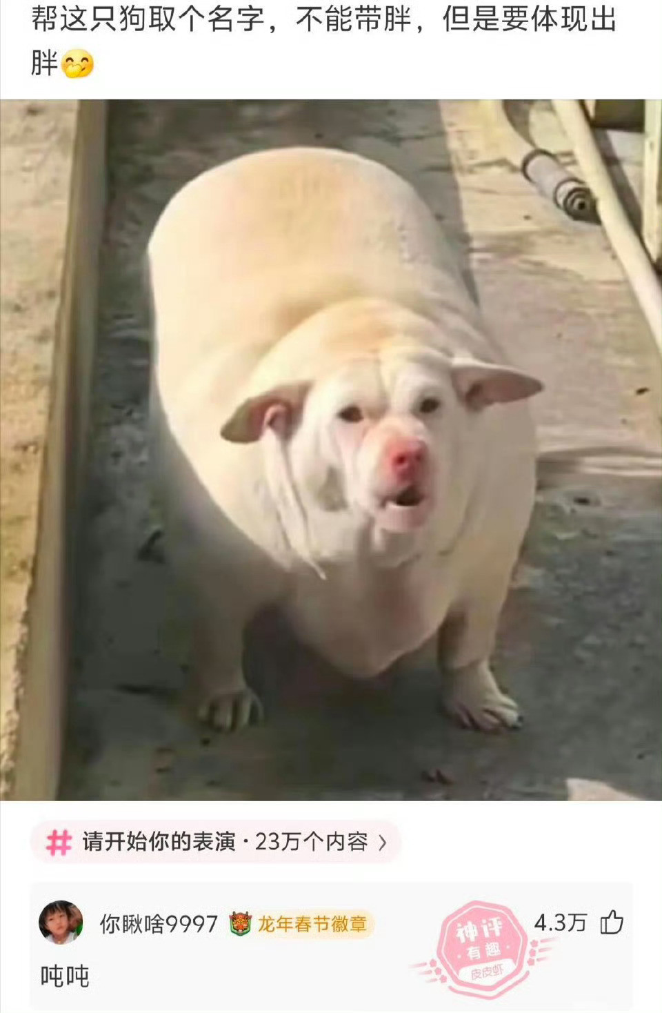 ​果然高手都在评论区啊哈哈哈哈哈！神评一出，直接把原帖从青铜拉到王者段位，评论区