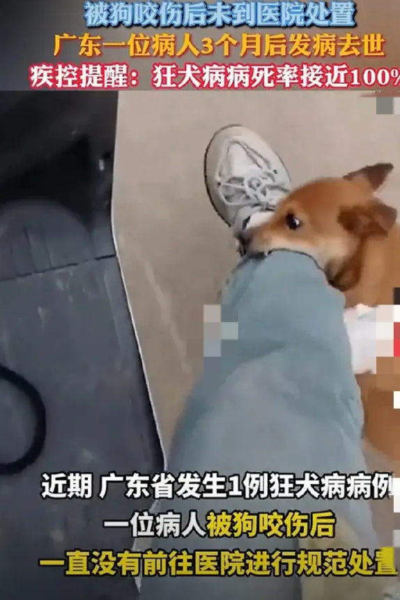 唉！真是不看不知道，一看吓一跳啊！看来还得严格治理疯狗！主要是疯狗咬了后果太严重