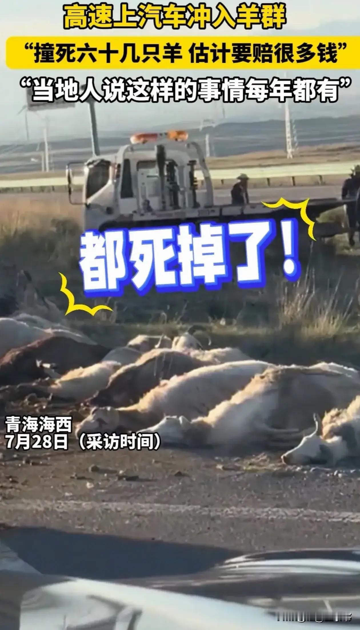 “轰！一脚刹车下去，十多万打水漂了！”青海，一条笔直的高速路伸向天边。一辆车正