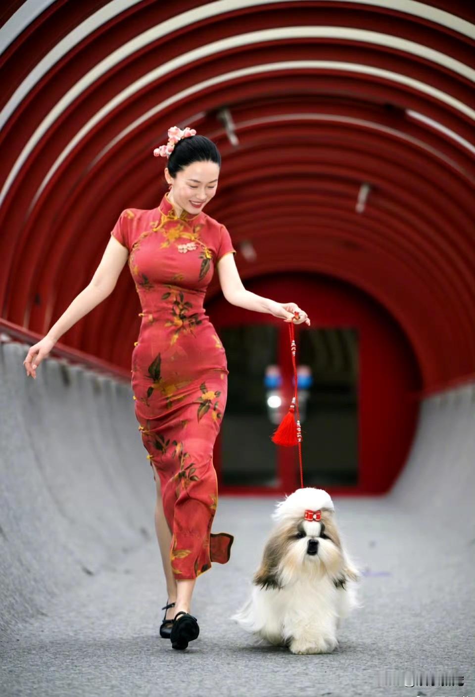 霍思燕这发际线配不上绝美旗袍身材，她这植发太留痕了，整整齐齐一圈，反而显得生硬老