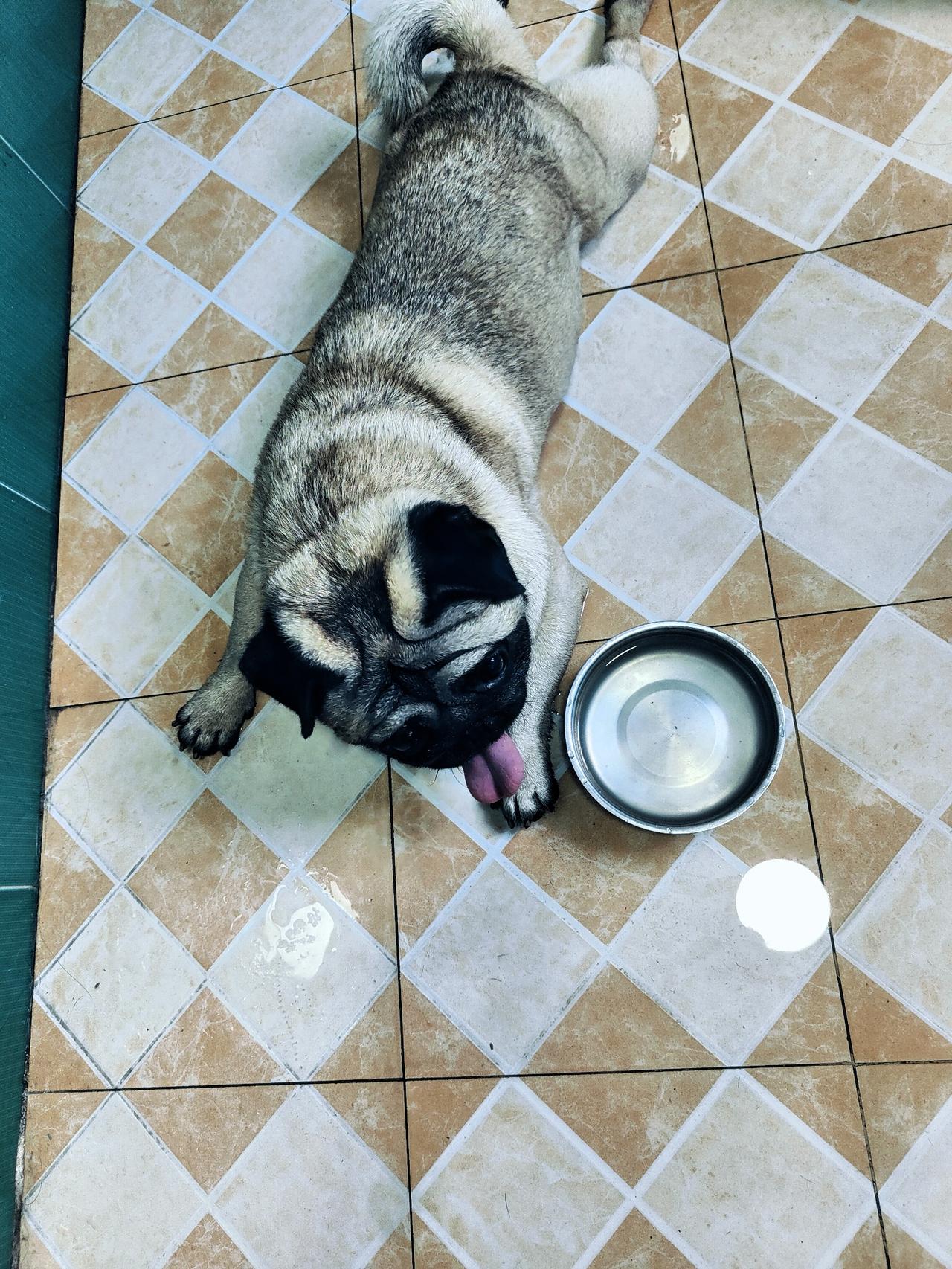 人工智能到底能不能取代人类？这事儿还真不好说。从能力上看，人工智能在数据处理、