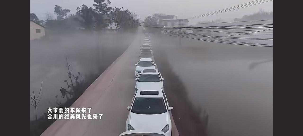 疯了，疯了，一个叫呆呆的博主，家里杀猪，邀请网友去家里面吃杀猪宴，本来就是当朋友