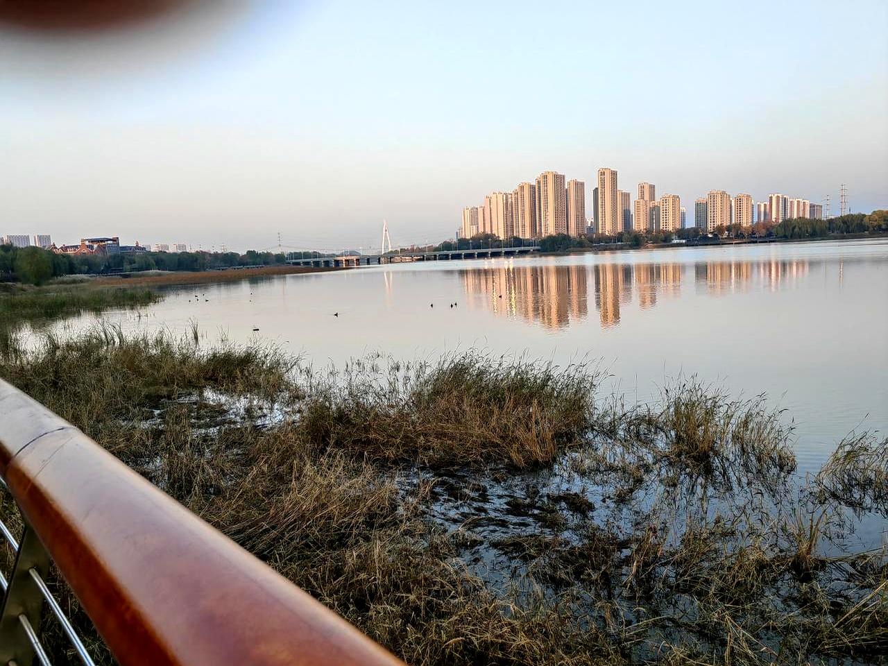 看过素老三老师的减肥记，我不再焦虑了，我焦虑不是因为“胖”，自从过来帮着